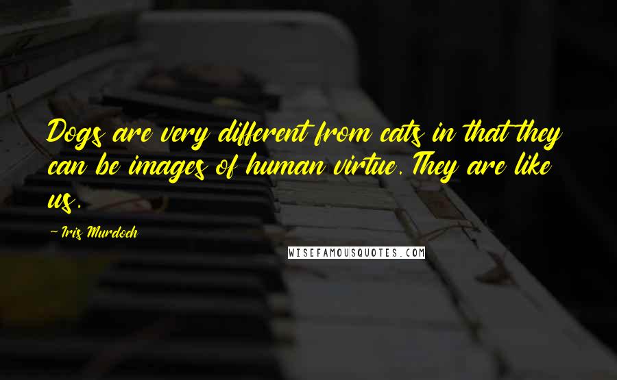 Iris Murdoch Quotes: Dogs are very different from cats in that they can be images of human virtue. They are like us.