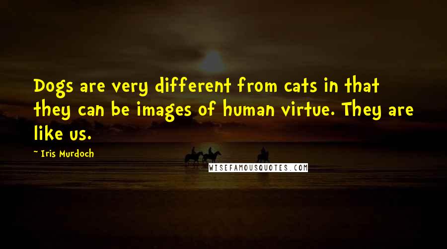 Iris Murdoch Quotes: Dogs are very different from cats in that they can be images of human virtue. They are like us.