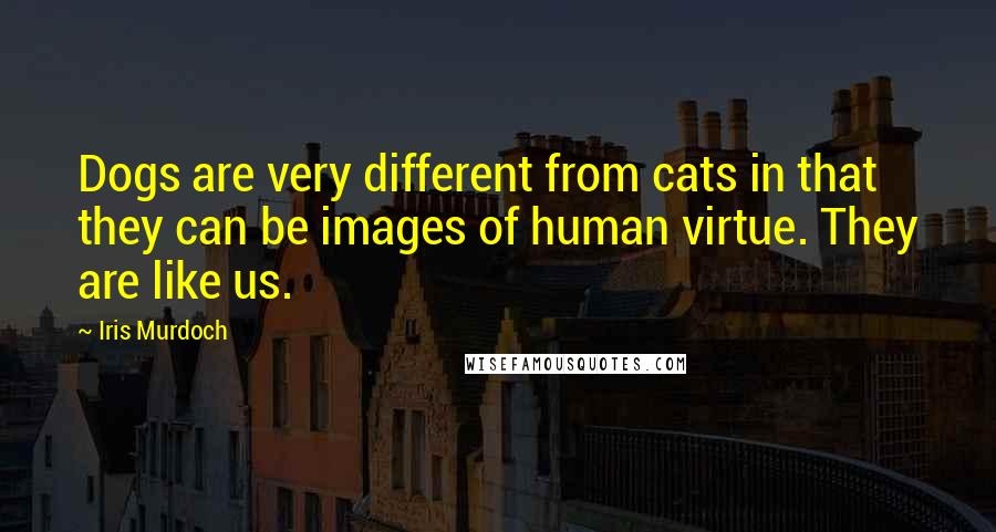 Iris Murdoch Quotes: Dogs are very different from cats in that they can be images of human virtue. They are like us.