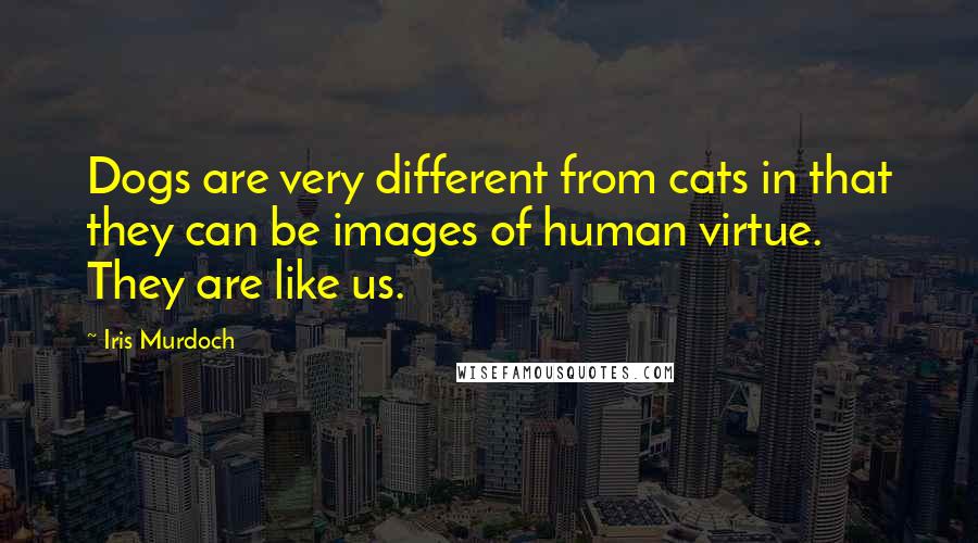 Iris Murdoch Quotes: Dogs are very different from cats in that they can be images of human virtue. They are like us.