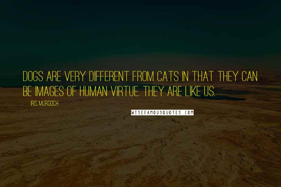 Iris Murdoch Quotes: Dogs are very different from cats in that they can be images of human virtue. They are like us.