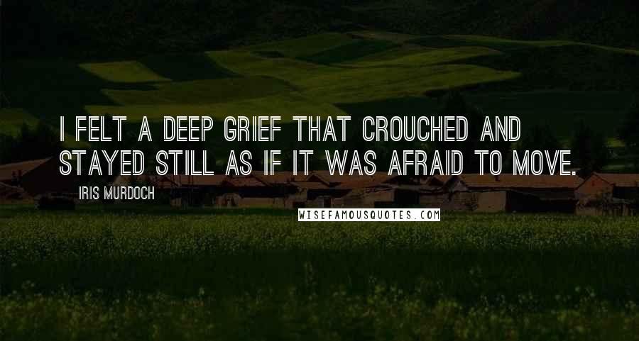 Iris Murdoch Quotes: I felt a deep grief that crouched and stayed still as if it was afraid to move.