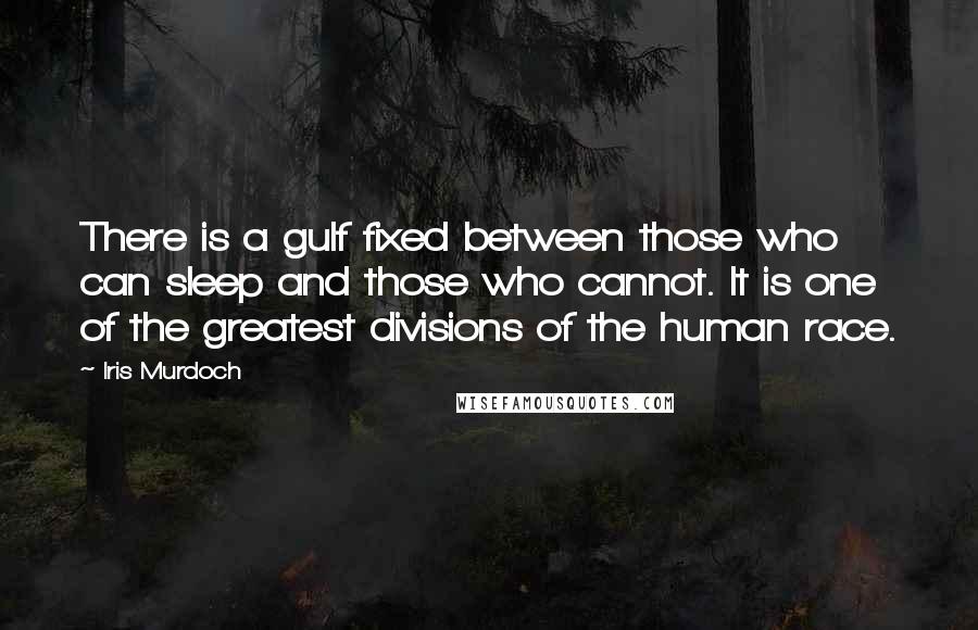 Iris Murdoch Quotes: There is a gulf fixed between those who can sleep and those who cannot. It is one of the greatest divisions of the human race.