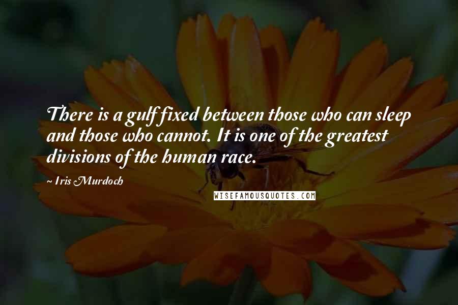 Iris Murdoch Quotes: There is a gulf fixed between those who can sleep and those who cannot. It is one of the greatest divisions of the human race.