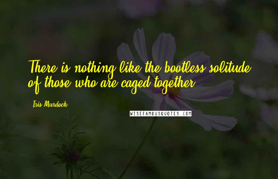 Iris Murdoch Quotes: There is nothing like the bootless solitude of those who are caged together.