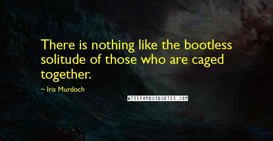 Iris Murdoch Quotes: There is nothing like the bootless solitude of those who are caged together.