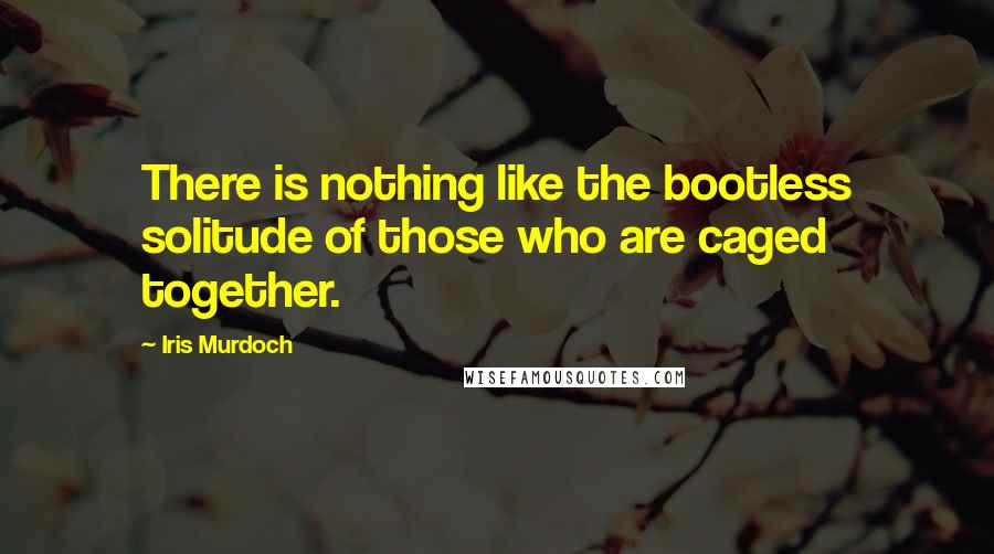 Iris Murdoch Quotes: There is nothing like the bootless solitude of those who are caged together.