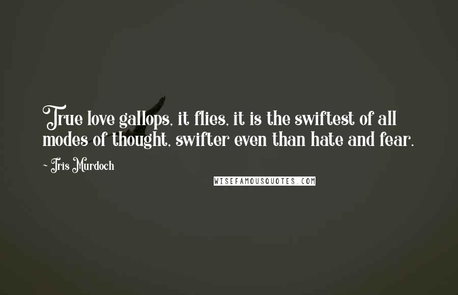 Iris Murdoch Quotes: True love gallops, it flies, it is the swiftest of all modes of thought, swifter even than hate and fear.