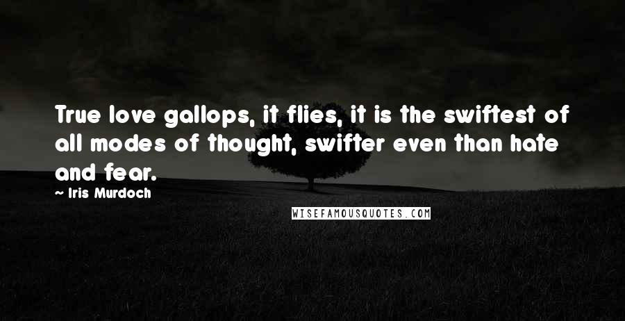 Iris Murdoch Quotes: True love gallops, it flies, it is the swiftest of all modes of thought, swifter even than hate and fear.