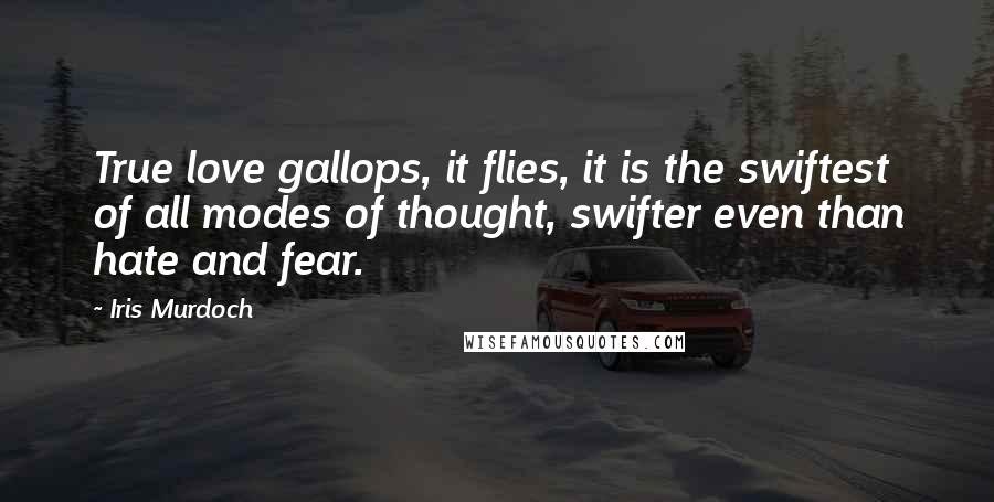 Iris Murdoch Quotes: True love gallops, it flies, it is the swiftest of all modes of thought, swifter even than hate and fear.