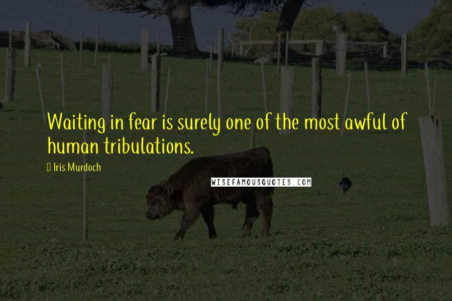 Iris Murdoch Quotes: Waiting in fear is surely one of the most awful of human tribulations.