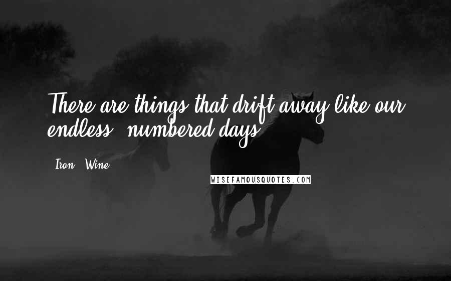 Iron & Wine Quotes: There are things that drift away like our endless, numbered days