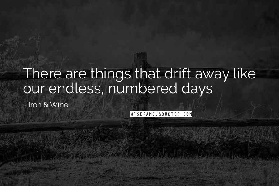 Iron & Wine Quotes: There are things that drift away like our endless, numbered days