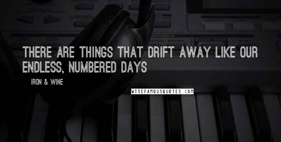 Iron & Wine Quotes: There are things that drift away like our endless, numbered days
