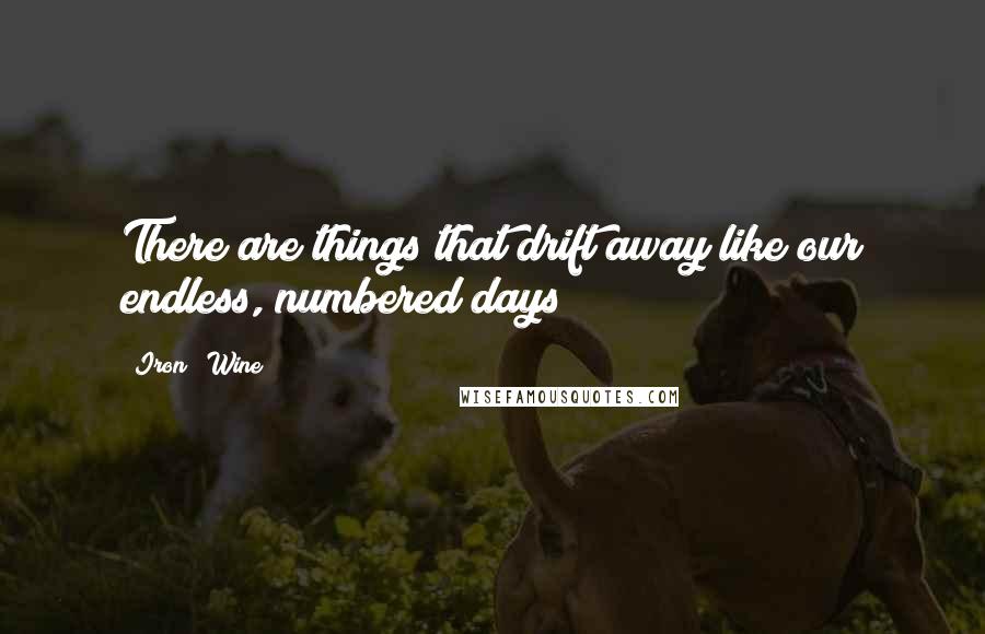 Iron & Wine Quotes: There are things that drift away like our endless, numbered days