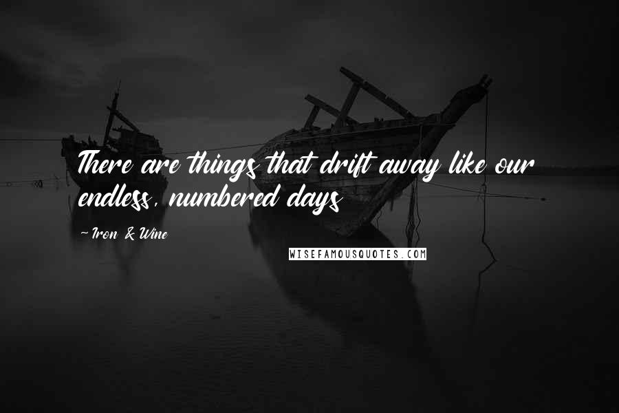 Iron & Wine Quotes: There are things that drift away like our endless, numbered days