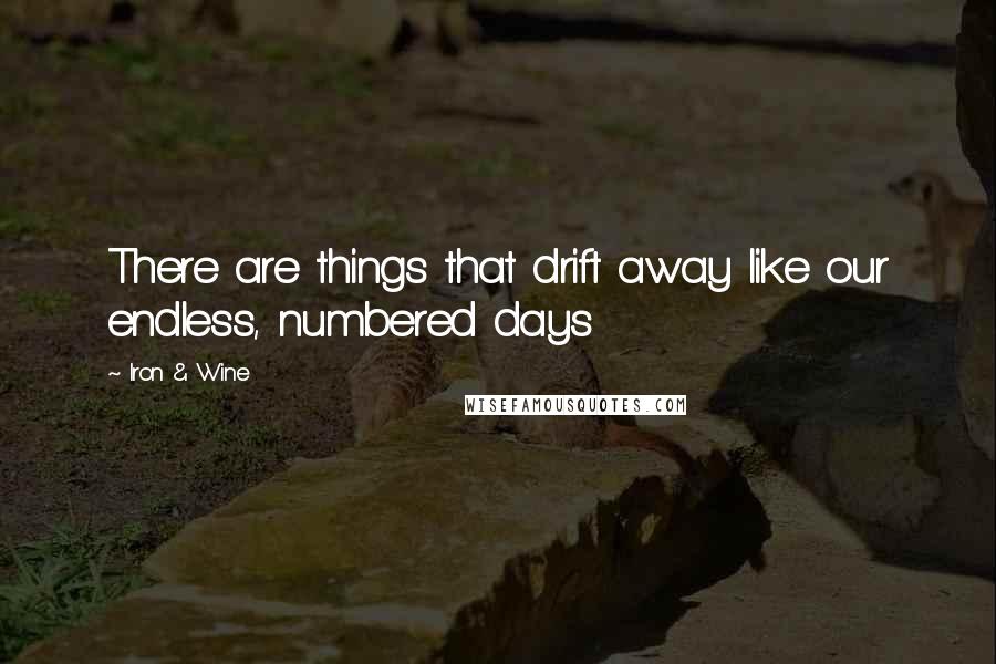 Iron & Wine Quotes: There are things that drift away like our endless, numbered days