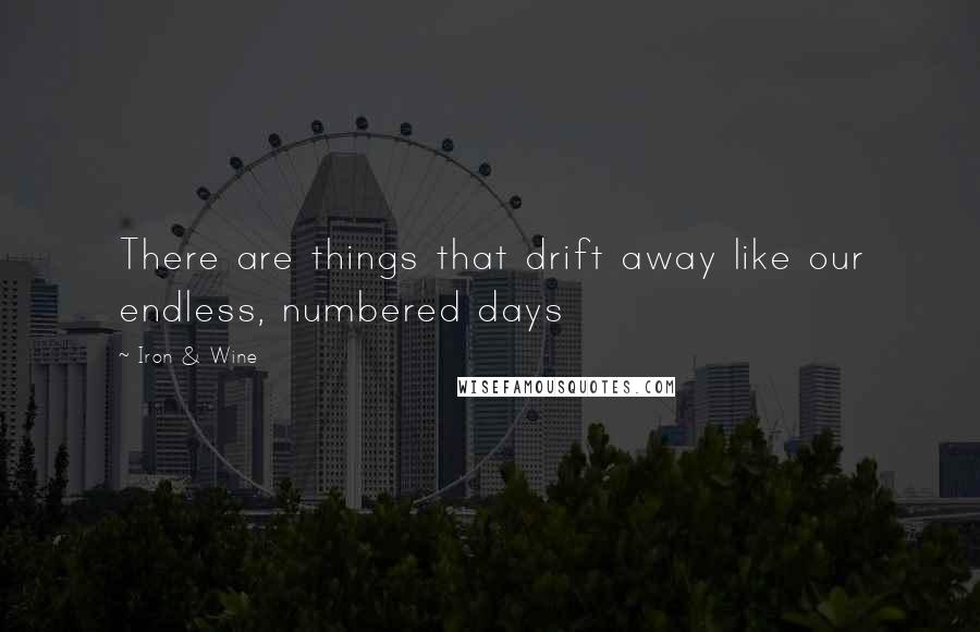 Iron & Wine Quotes: There are things that drift away like our endless, numbered days