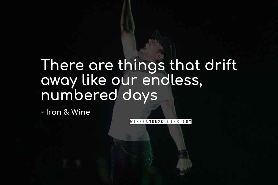 Iron & Wine Quotes: There are things that drift away like our endless, numbered days