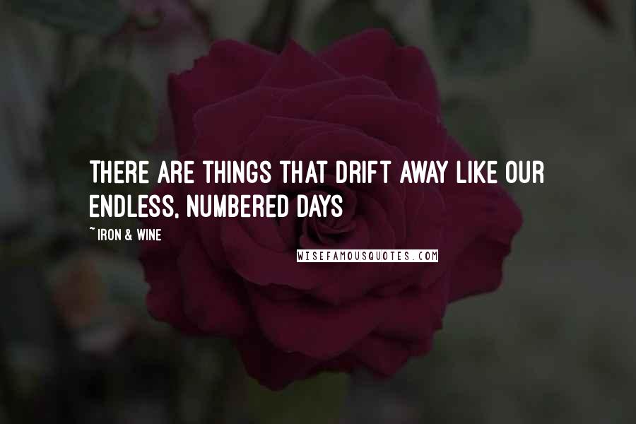 Iron & Wine Quotes: There are things that drift away like our endless, numbered days