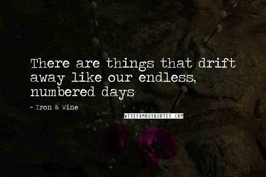 Iron & Wine Quotes: There are things that drift away like our endless, numbered days