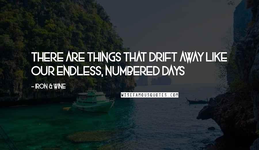 Iron & Wine Quotes: There are things that drift away like our endless, numbered days