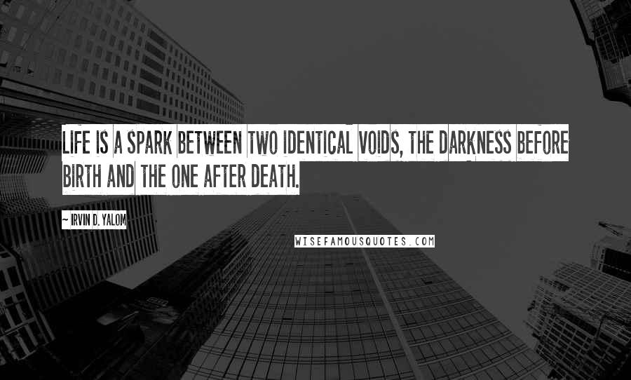 Irvin D. Yalom Quotes: Life is a spark between two identical voids, the darkness before birth and the one after death.