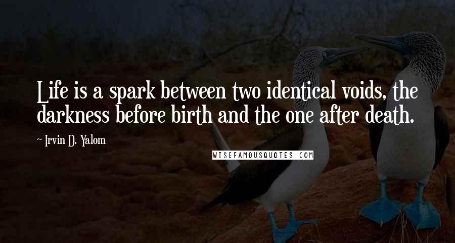 Irvin D. Yalom Quotes: Life is a spark between two identical voids, the darkness before birth and the one after death.