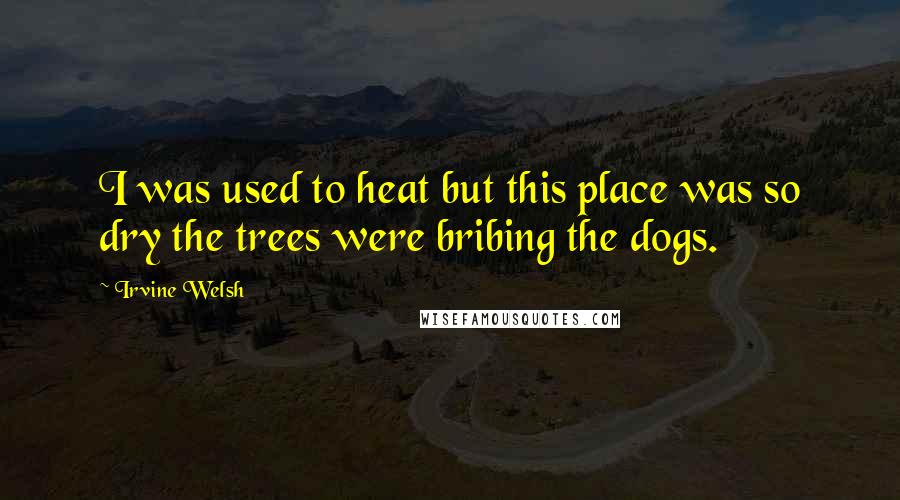 Irvine Welsh Quotes: I was used to heat but this place was so dry the trees were bribing the dogs.