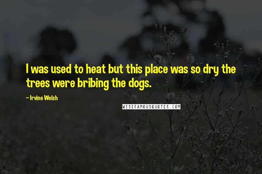 Irvine Welsh Quotes: I was used to heat but this place was so dry the trees were bribing the dogs.