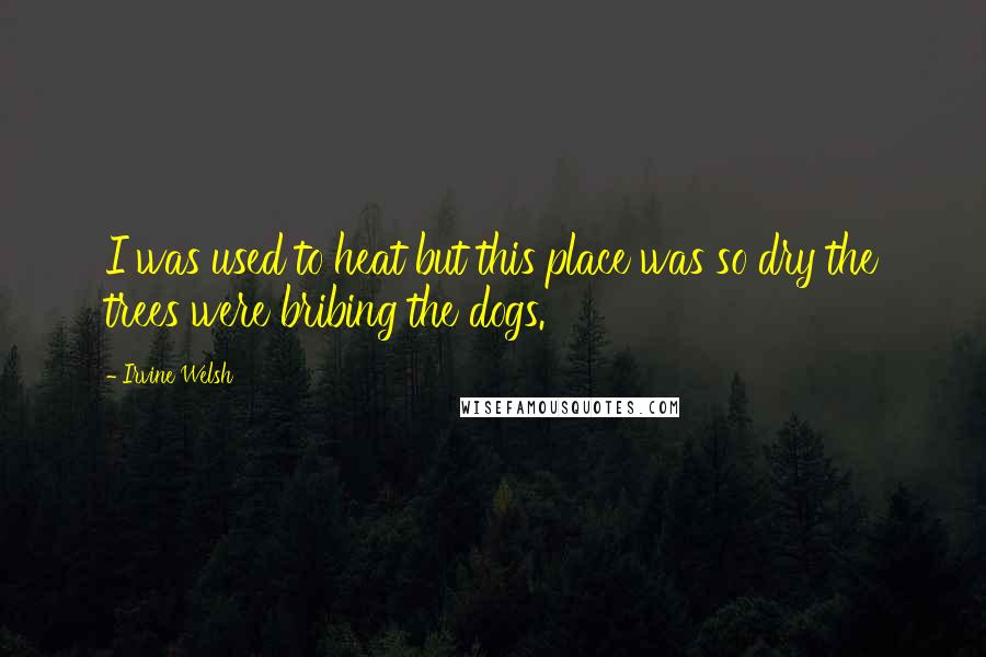 Irvine Welsh Quotes: I was used to heat but this place was so dry the trees were bribing the dogs.