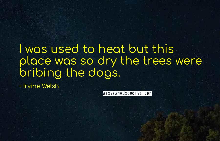 Irvine Welsh Quotes: I was used to heat but this place was so dry the trees were bribing the dogs.