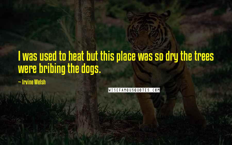 Irvine Welsh Quotes: I was used to heat but this place was so dry the trees were bribing the dogs.