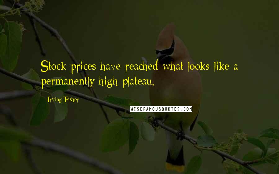 Irving Fisher Quotes: Stock prices have reached what looks like a permanently high plateau.