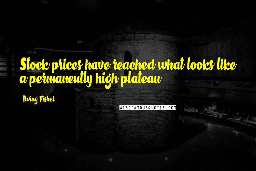 Irving Fisher Quotes: Stock prices have reached what looks like a permanently high plateau.