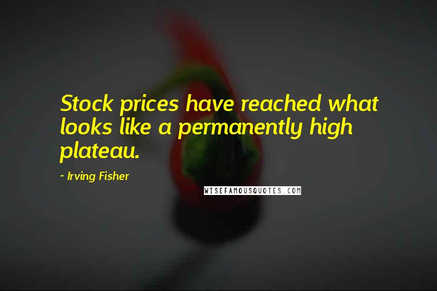 Irving Fisher Quotes: Stock prices have reached what looks like a permanently high plateau.