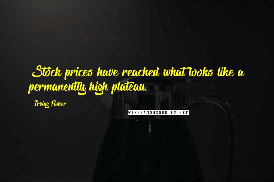 Irving Fisher Quotes: Stock prices have reached what looks like a permanently high plateau.