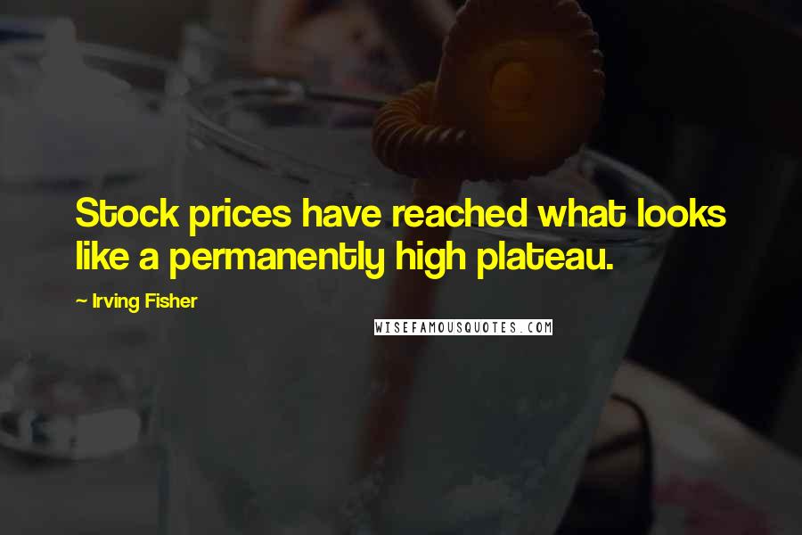 Irving Fisher Quotes: Stock prices have reached what looks like a permanently high plateau.