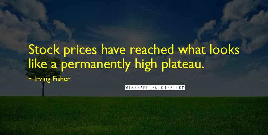 Irving Fisher Quotes: Stock prices have reached what looks like a permanently high plateau.