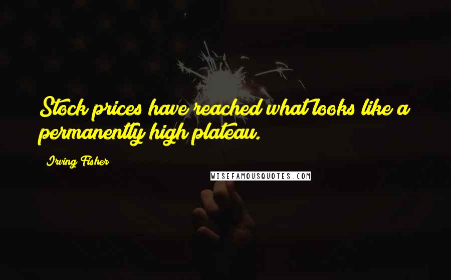 Irving Fisher Quotes: Stock prices have reached what looks like a permanently high plateau.