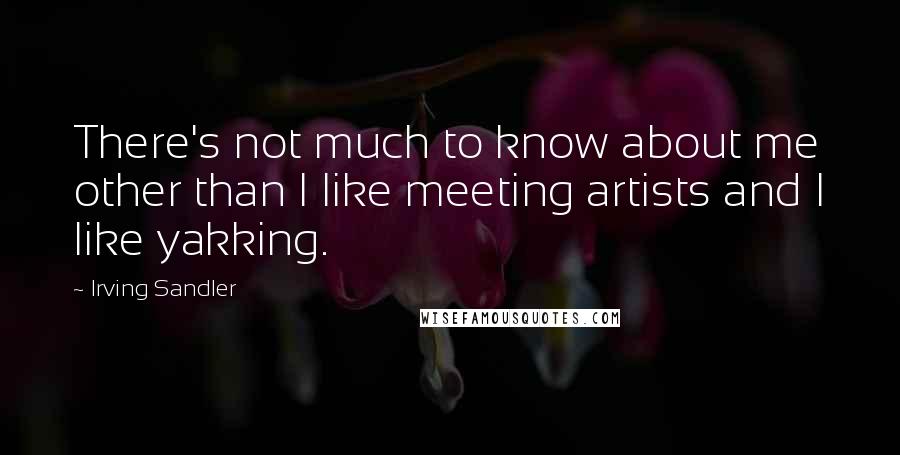 Irving Sandler Quotes: There's not much to know about me other than I like meeting artists and I like yakking.