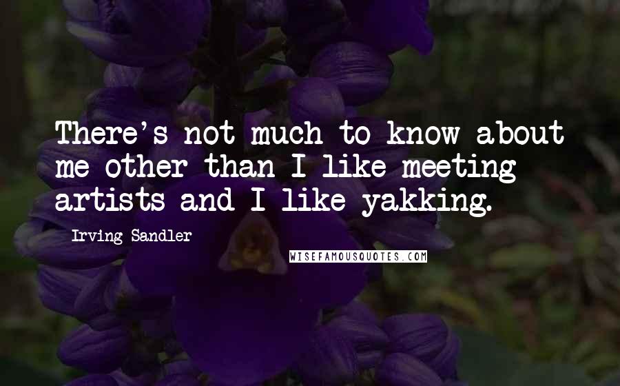 Irving Sandler Quotes: There's not much to know about me other than I like meeting artists and I like yakking.