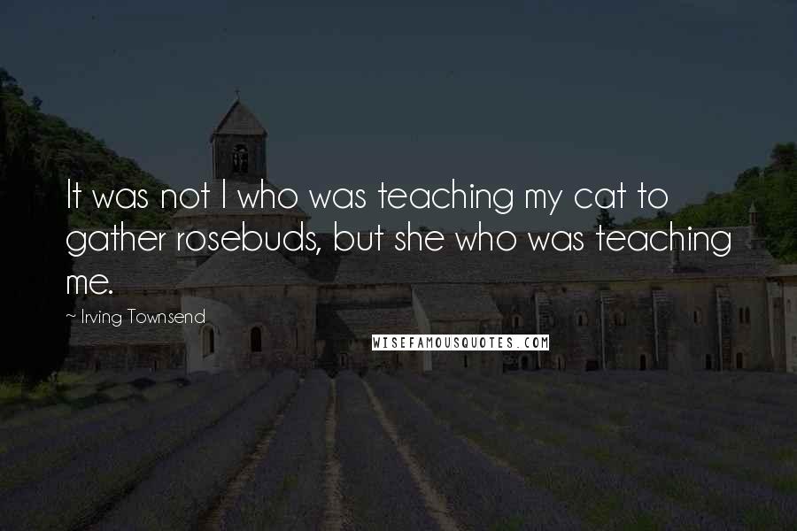 Irving Townsend Quotes: It was not I who was teaching my cat to gather rosebuds, but she who was teaching me.