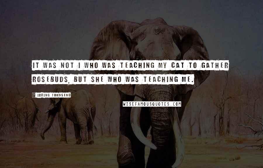 Irving Townsend Quotes: It was not I who was teaching my cat to gather rosebuds, but she who was teaching me.