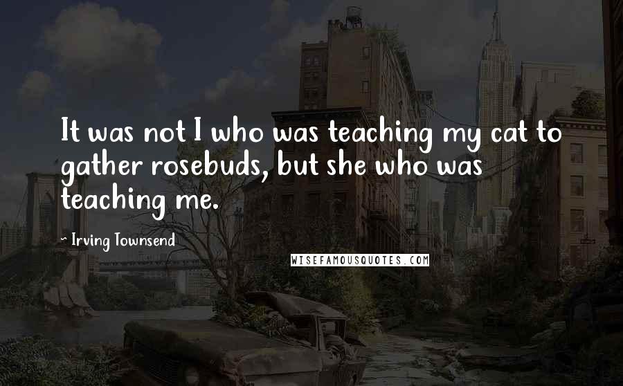 Irving Townsend Quotes: It was not I who was teaching my cat to gather rosebuds, but she who was teaching me.