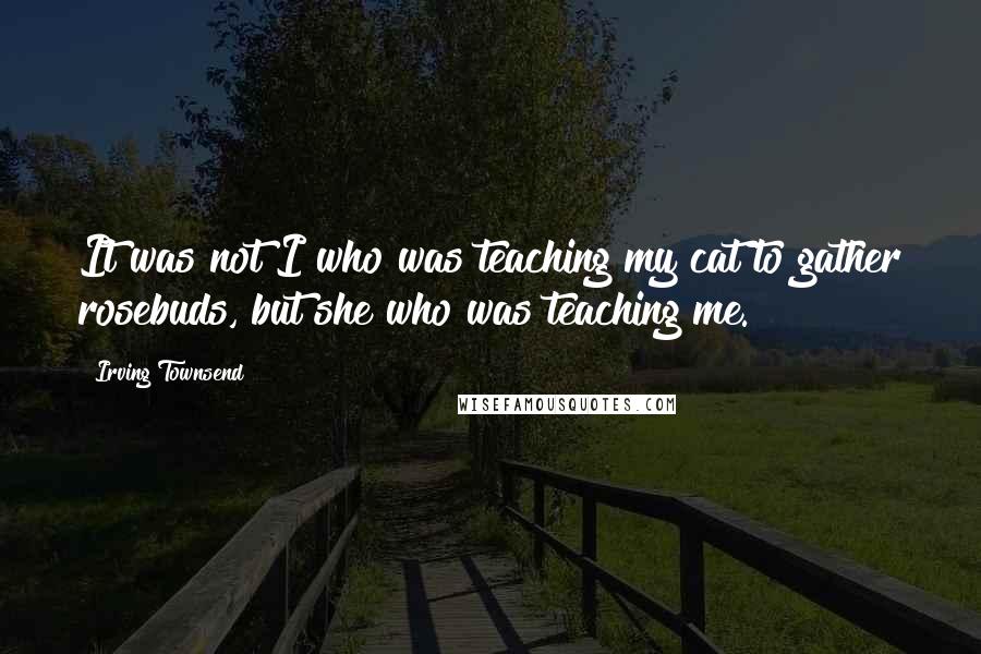 Irving Townsend Quotes: It was not I who was teaching my cat to gather rosebuds, but she who was teaching me.