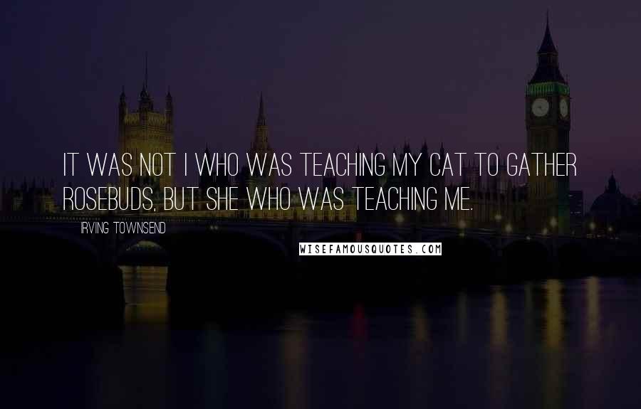 Irving Townsend Quotes: It was not I who was teaching my cat to gather rosebuds, but she who was teaching me.