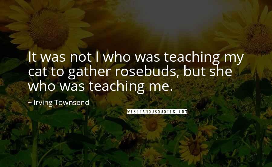 Irving Townsend Quotes: It was not I who was teaching my cat to gather rosebuds, but she who was teaching me.