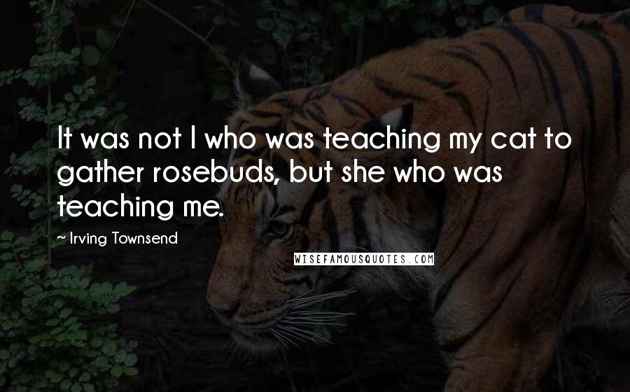 Irving Townsend Quotes: It was not I who was teaching my cat to gather rosebuds, but she who was teaching me.