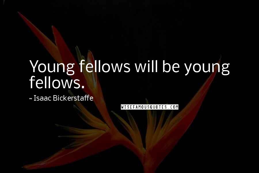 Isaac Bickerstaffe Quotes: Young fellows will be young fellows.